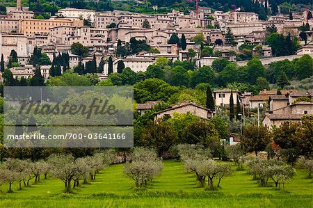 View of Assisi, Umbria, Italy