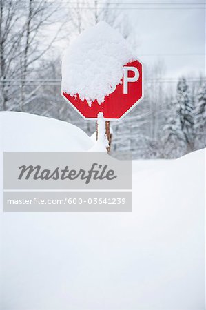 Panneau d'arrêt couvert de neige, en Colombie-Britannique, Canada