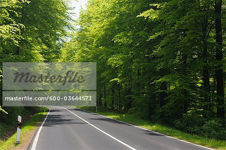 Road in Springtime, Oberbessenbach, Spessart, Bavaria, Germany