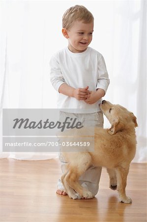 Little Boy With Goldendoodle Puppy
