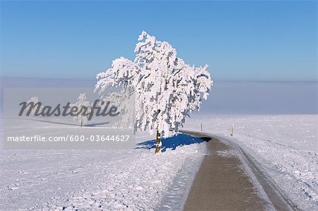 Piste et arbres avec paysage d'hiver, givre. Canton de Zoug, Suisse