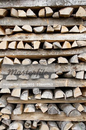 Piles de bois, Brienz, Interlaken-Oberhasli, Canton de Berne, Suisse