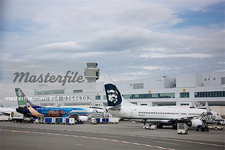 View of several Alaska Airlines commercial jets parked at the Ted Stevens International Airport, Anchorage, Southcentral Alaska, Summer