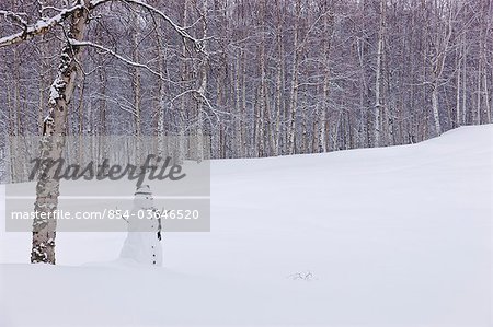 Bonhomme de neige portant un foulard et chapeau haut de forme noir debout dans une neige couverte de forêt de bouleaux, Russie Jack Springs Park, ancrage, centre-sud de l'Alaska, hiver