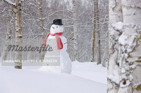 Snowman wearing a scarf and black top hat standing in a snow covered birch forest, Russian Jack Springs Park, Anchorage, Southcentral Alaska, Winter