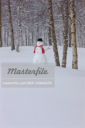 Snowman wearing a scarf and black top hat standing in a snow covered birch forest, Russian Jack Springs Park, Anchorage, Southcentral Alaska, Winter