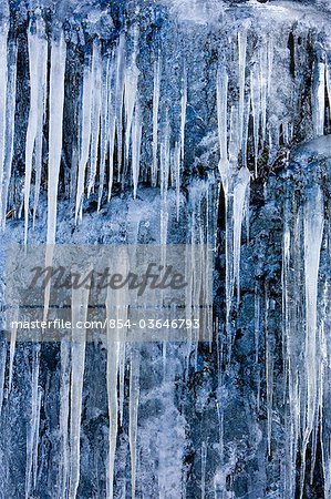 Icicles formed from groundwater seepage hang from a rock ledge, Tongass Forest, Juneau, Southeast Alaska