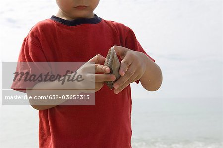 Boy examining clam shell at the beach