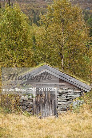 Kleine Hütte im Wald