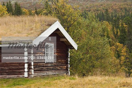 Cabane dans la forêt Cabane dans la forêt