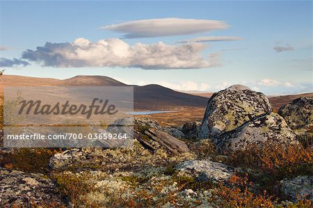 Roches dans le Parc National de Dovrefjell-Sunndalsfjella, Norvège