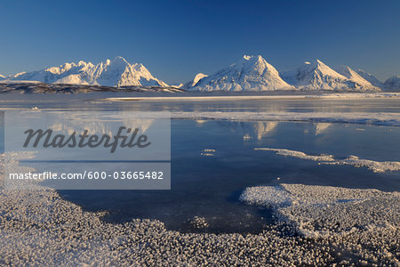 Winter Scene, Lyngen Alps, Breivikeidet, Troms, Norway