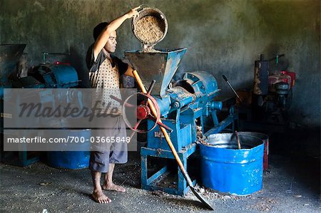 Homme faisant du Biodiesel de coques de noix de coco, Nihiwatu Resort, Sumba (Indonésie)
