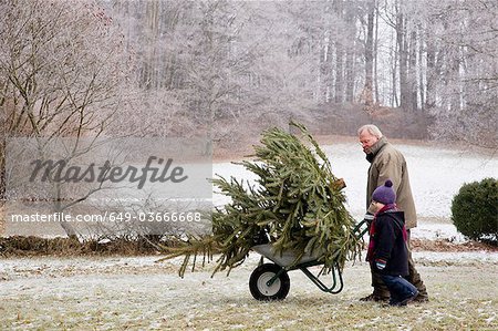 boy and grandfather with christmas tree