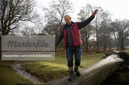 Homme à la retraite sur l'arbre d'équilibrage