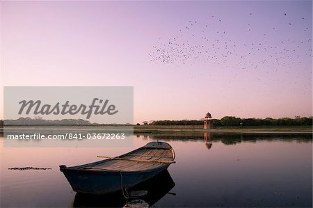 A flock of birds flying over an old boat on the Yamuna River at sunset in Agra, Uttar Pradesh, India, Asia