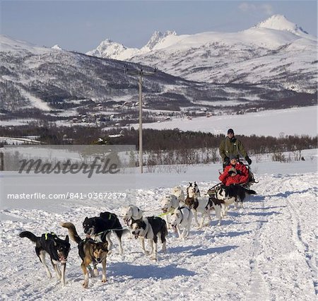 Dog sledding with huskies, Tromso wilderness centre, Norway, Scandinavia, Europe