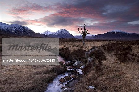 Winter view of Rannoch Moor at sunset with dead tree, frozen stream and snow-covered mountains in the distance, near Fort William, Highland, Scotland, United Kingdom, Europe