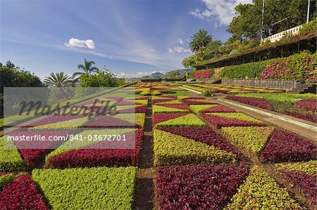 Formale Gärten in den Botanischen Garten (Jardim Botanico), oberhalb von Funchal, Madeira, Portugal, Europa