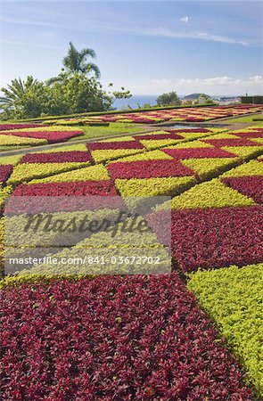 Jardins à la française dans les jardins botaniques (Jardim Botanico), au-dessus de Funchal, Madeira, Portugal, Europe