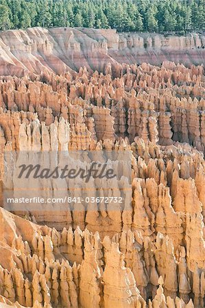 Bryce Canyon National Park from Inspiration Point, Utah, United States of America, North America