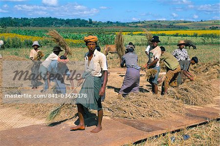 Landarbeiter, Straße nach Pindaya, Shan State, Myanmar (Birma), Asien