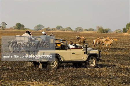 Roan antelope and safari vehicles, Busanga Plains, Kafue National Park, Zambia, Africa