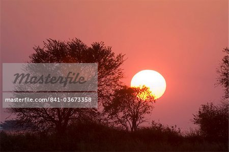 Sunrise, Busanga Plains, Kafue-Nationalpark, Sambia, Afrika