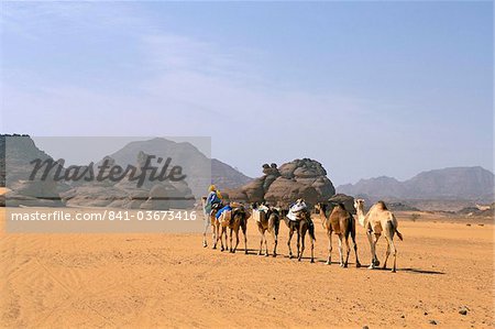 Camel caravan, Akakus, Sahara desert, Fezzan, Libya, North Africa, Africa Camel caravan, Akakus, Sahara desert, Fezzan, Libya, North Africa, Africa
