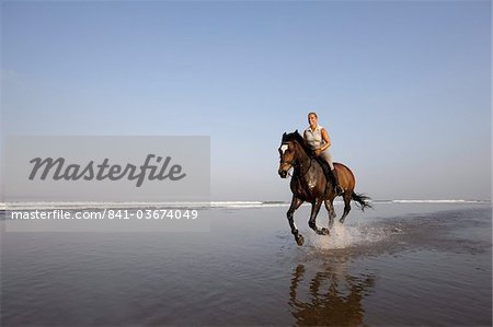 Promenades à cheval sur la plage, la plage de Kuta, Bali, Indonésie, Asie du sud-est, Asie