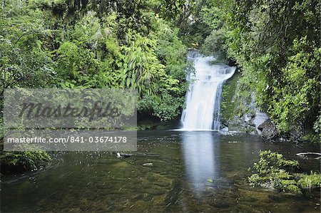 Bridal Veil Falls, Parc National de Te Urewera, Bay of Plenty, North Island, New Zealand, Pacifique