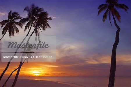 Palmen und Meer bei Sonnenuntergang, Malediven, Indischer Ozean, Asien