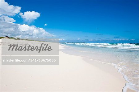 Playa Bonita, Isla de Cozumel (Cozumel Island), Cozumel, Mexique, Amérique du Nord