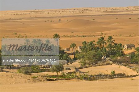 Petite oasis entre les dunes de sable au coucher du soleil, près de Chinguetti, Mauritanie, Afrique