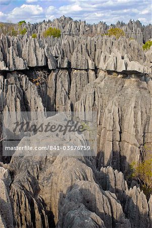 Formations coralliennes, Tsingy de Bemaraha, patrimoine mondial de l'UNESCO, Madagascar, Afrique