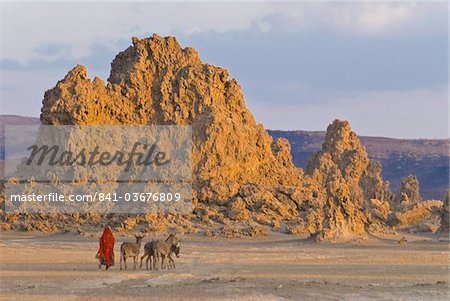 Habitante de loin avec son âne sur son chemin du retour, Lac Abbe (lac kadi Bad) avec ses cheminées, République de Djibouti, Afrique