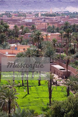 Lower level farming, date palm oasis, Figuig, province of Figuig, Oriental Region, Morocco, North Africa, Africa