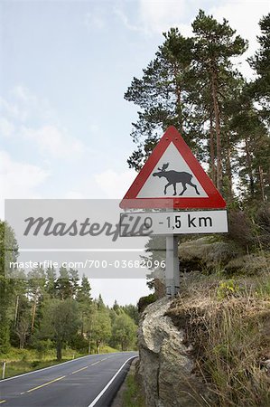 Moose Crossing, Vanse, Farsund, Norway