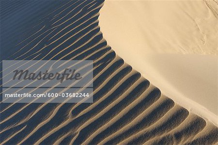 Ondulations dans les Dunes de sable à la plage, près de Cadix, Costa De La Luz, Cadix, Andalousie, Espagne