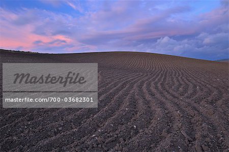 Plowed Field at Sunset, Near Ronda, Malaga Province, Andalucia, Spain