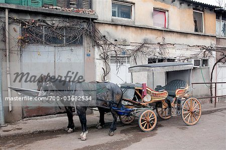 Pferdekutschen Kutsche, Prinzeninsel, Istanbul, Türkei