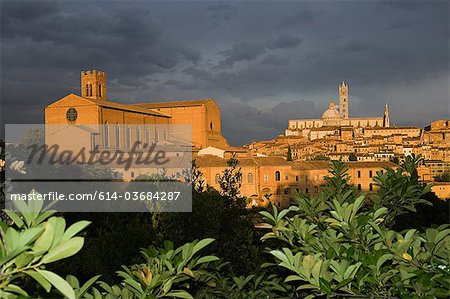 Santa Maria Assunta cathedral, Siena, Italy