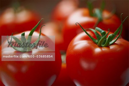 Gros plan de tomates