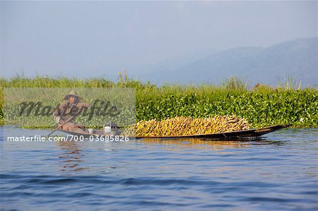 Mann auf Boot, Inle See, Myanmar