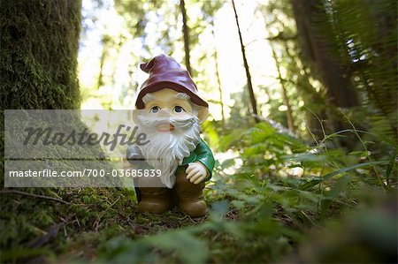 Gnome im Wald, Steinhuser Grove, MacMillan Provincial Park, Vancouver Island, British Columbia, Kanada