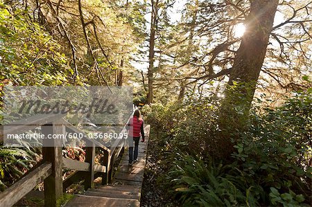 Femme de randonnée dans la forêt tropicale, baie Florencia, Tofino, Vancouver Island, British Columbia, Canada