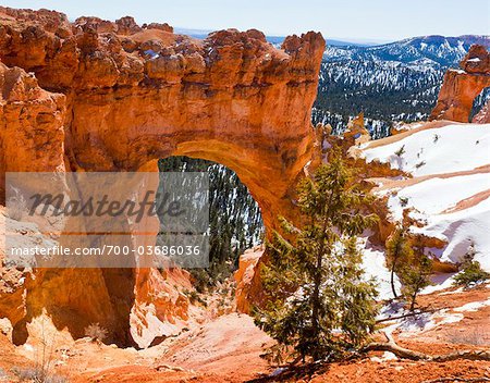 Die Windows-Arch, dem Bryce Canyon National Park, Utah, USA Die Windows-Arch, dem Bryce Canyon National Park, Utah, USA