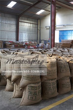 Kaffee verpackt in Jute Säcke, Cofeco S.A. trocken Mühle, Departamento Huehuetenango, Guatemala