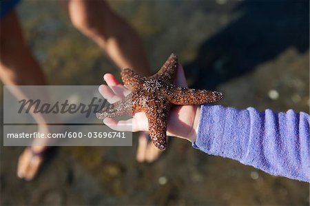 Fille tenue d'étoile de mer, Orcas Island, îles San Juan, Washington, USA