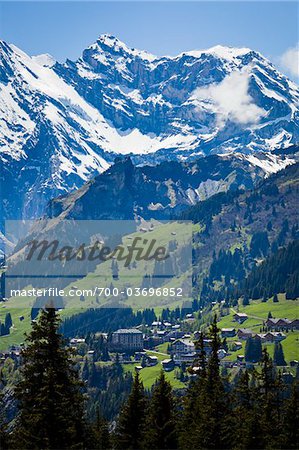 Blick in Richtung Mürren, Jungfrauregion, Berner Alpen, Schweiz